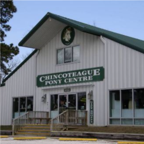 Chincoteague Pony Centre