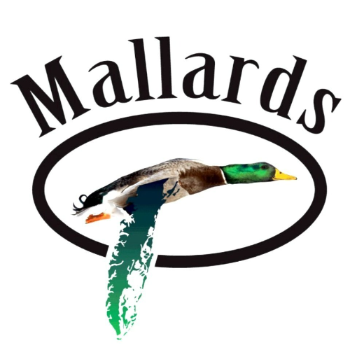 Mallards at the Wharf
